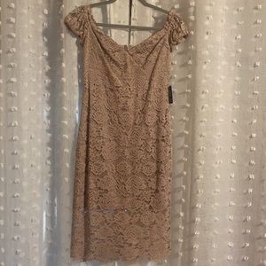 Express brand, taupe lace, knee lenght